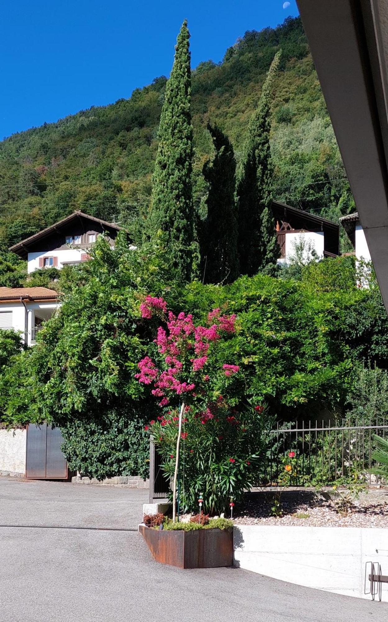 Marlingsuites - Vinea - Wieser Josef - Marling Exterior photo