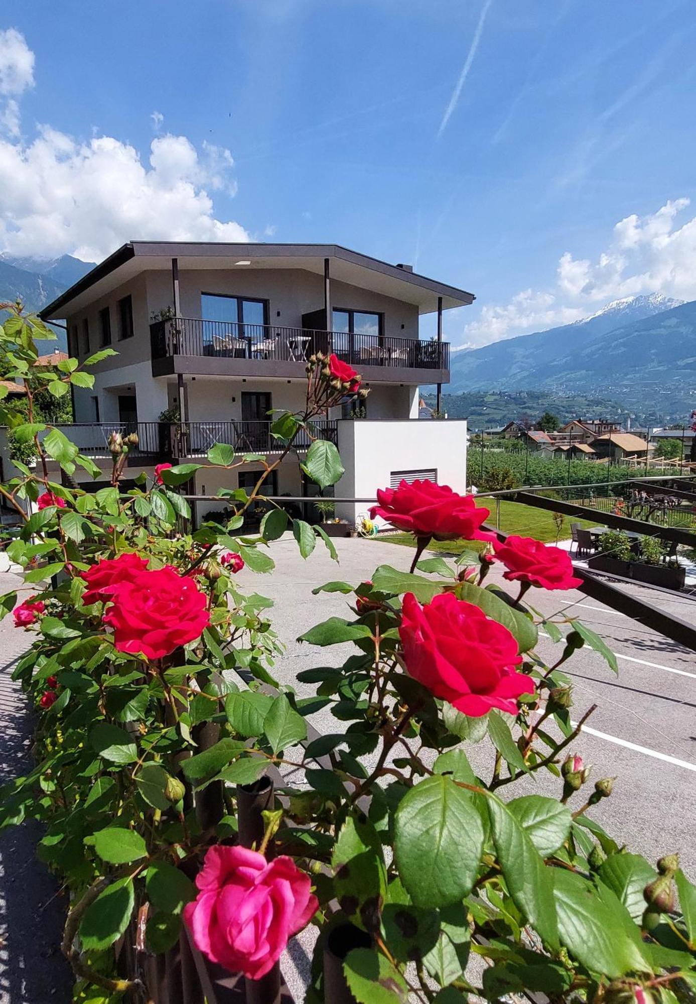 Marlingsuites - Vinea - Wieser Josef - Marling Exterior photo