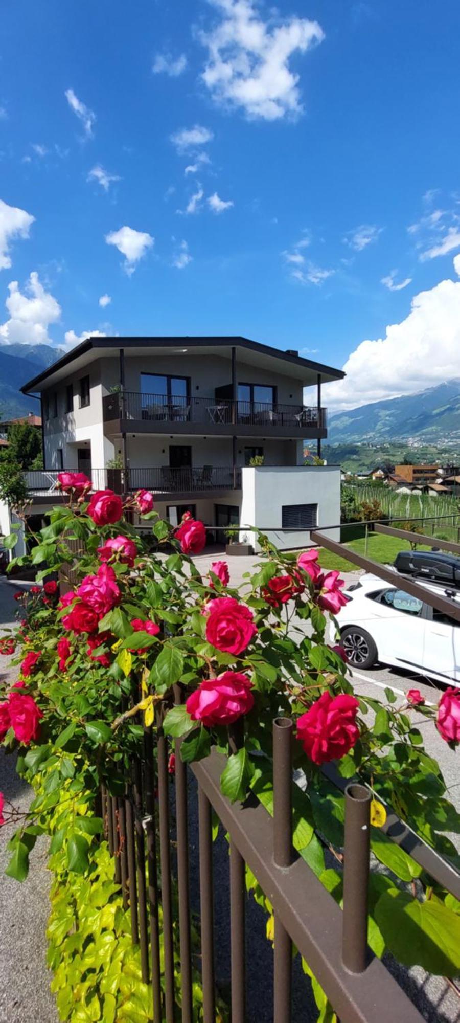 Marlingsuites - Vinea - Wieser Josef - Marling Exterior photo