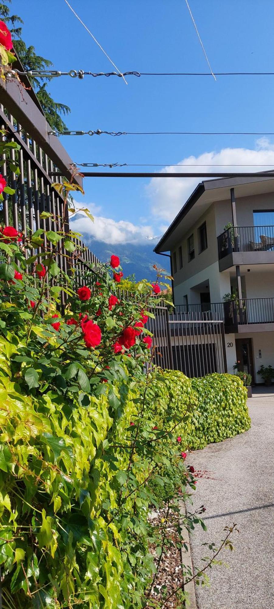 Marlingsuites - Vinea - Wieser Josef - Marling Exterior photo